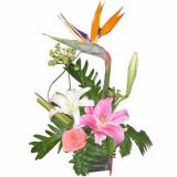˻ʻٵ